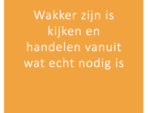 #eigenwijsheid: wakker zijn